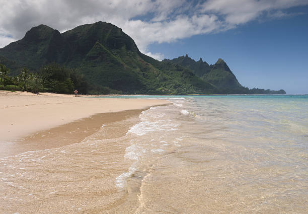 istock Tropical Hawaiian beach with no people 183844829