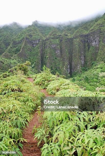 Photo libre de droit de Sentier De Randonnée À Hawaï banque d'images et plus d'images libres de droit de Aiguille rocheuse - Aiguille rocheuse, Beauté de la nature, Brouillard