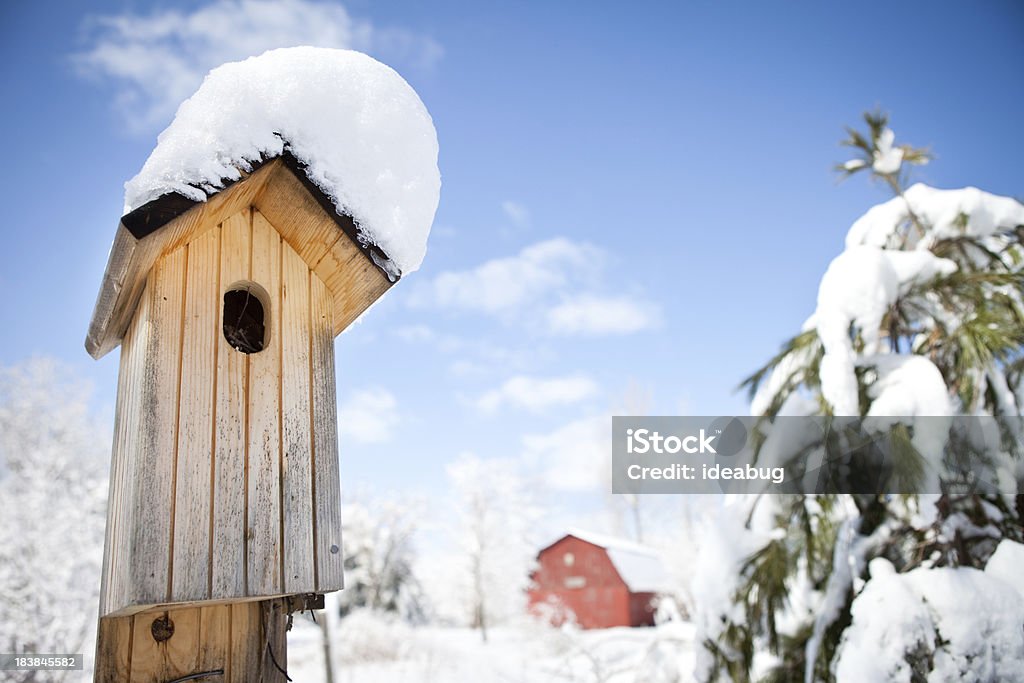 Casetta per gli uccelli con coperte di neve albero rosso di un fienile e - Foto stock royalty-free di Casetta per gli uccelli