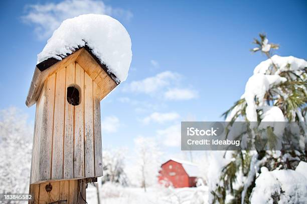 Foto de Um Viveiro De Aves Cobertas De Neve E Árvores Com Celeiro Vermelho e mais fotos de stock de Casa de Pássaro