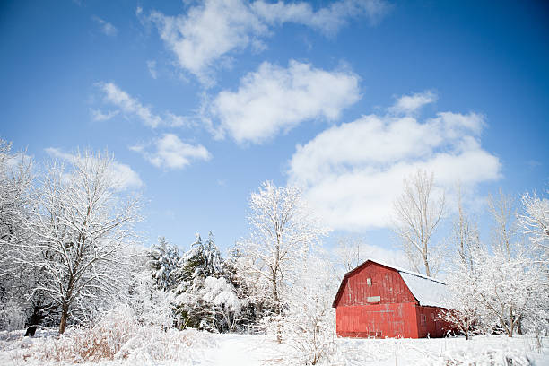 istock Winter Scene - Red Barn Amongst Snow-Covered Trees 183845594
