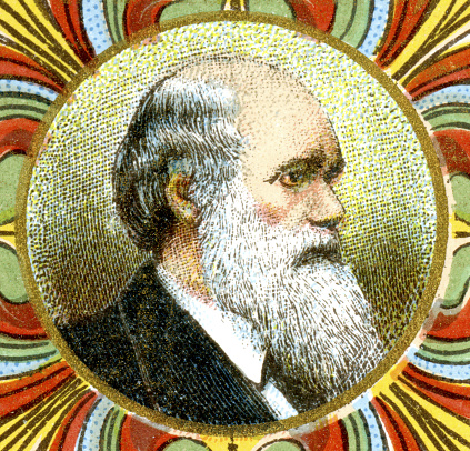 Portrait of Charles Robert Darwin,of the Victoria queen's reign. Authentic vintage engraving circa late 19th century. Digital restoration, non AI, by Pictore.
