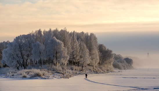 Winter is very cold, the trees are covered with frost, the river is foggy, a man is skiing in the haze of a winter day after a snowfall.