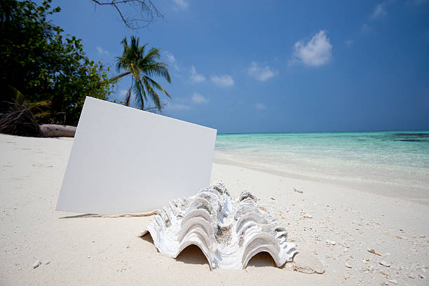 istock Summer and room for your copy 183846847