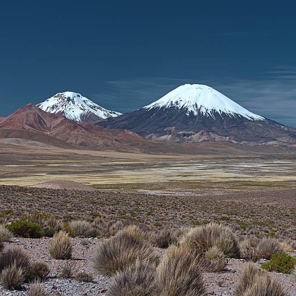 istock Parinacota Volcano in Lauca National Park, Chile 183847070