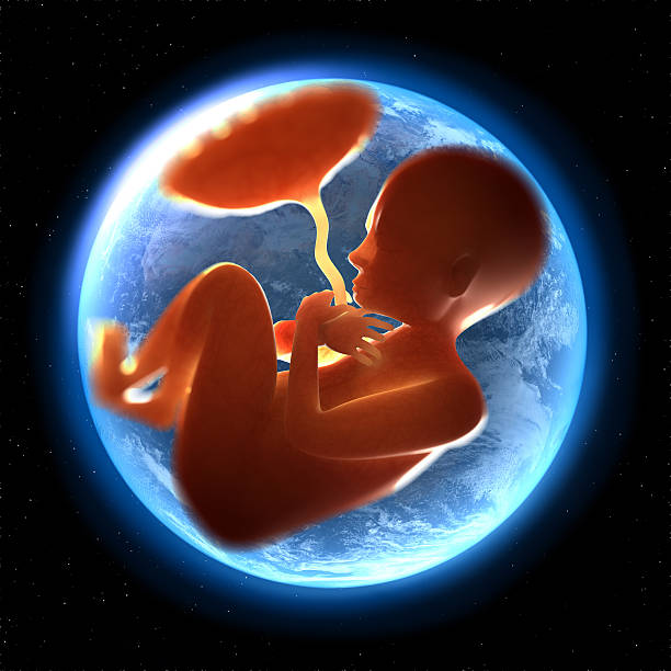 recém-nascidos e criança de bíceps-dentro de terra - fetus - fotografias e filmes do acervo