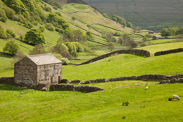 swaledale w park narodowy yorkshire dales - swaledale zdjęcia i obrazy z banku zdjęć