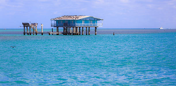 istock Stilt house in biscayne park, miami 183848163