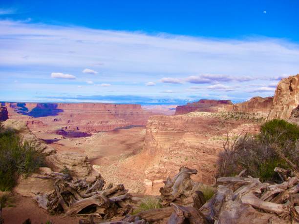 istock Between the Green and Colorado Rivers 1838486392
