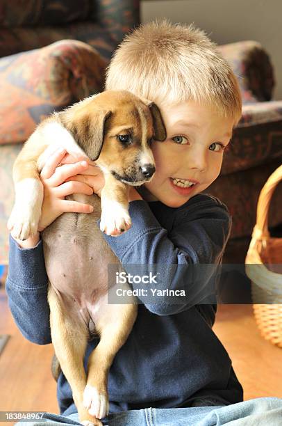 Foto de O Novo Melhor Amigo e mais fotos de stock de Criança - Criança, Cão Pastor Australiano, Animal