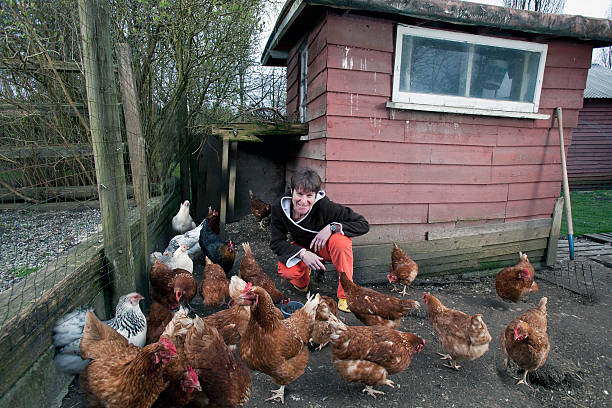 istock Woman with her chickens outside the backyard coop 183850322