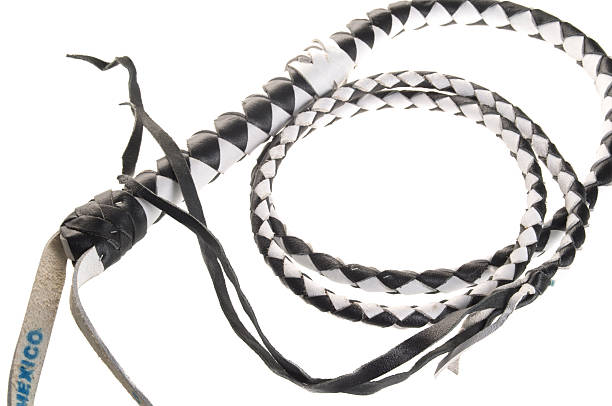 istock Black and white six foot whip. 183850475
