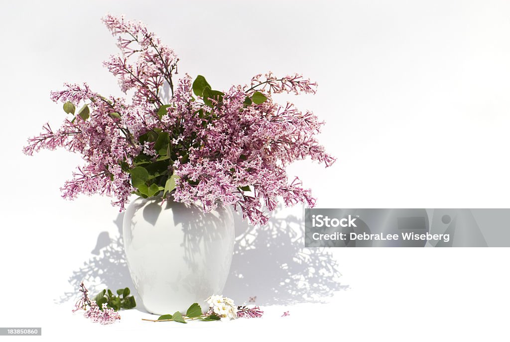 Lilás da primavera - Foto de stock de Arranjo royalty-free