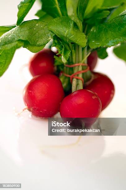 Closeup Image Of A Radish Studio Isolated On White Background Stock Photo - Download Image Now