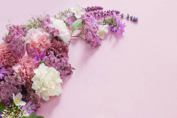 istock beautiful summer flowers on pink paper background 1838510930