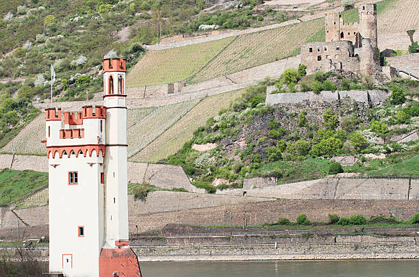 istock Mauseturm at river Rhine with castle Ehrenfels in background 183851436