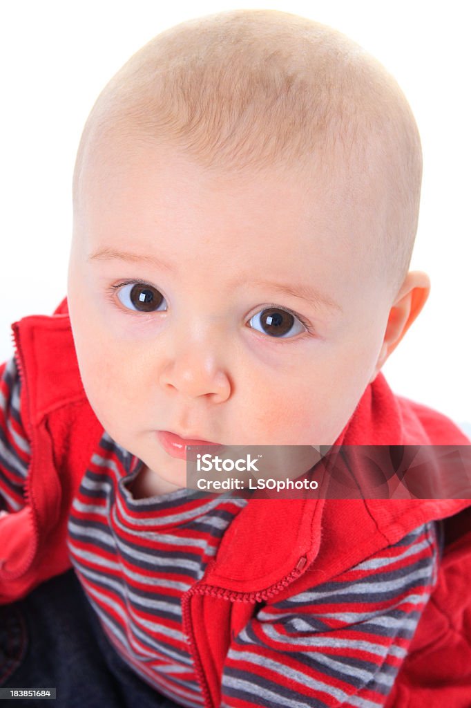 Sechs Monate Baby-Junge Porträt - Lizenzfrei 6-11 Monate Stock-Foto