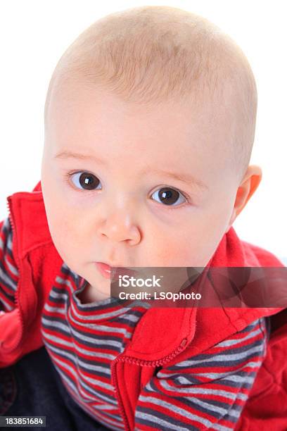 Six Month Baby Boy Portrait Stock Photo - Download Image Now - 6-11 Months, Abdomen, Babies Only