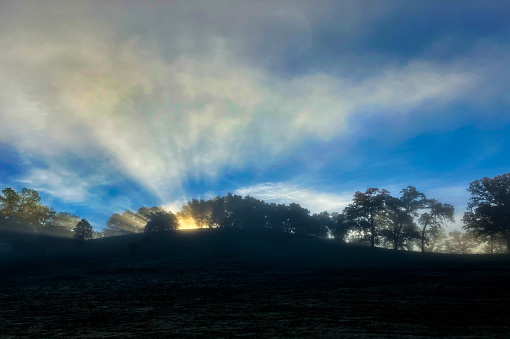 Sunrise at Magnolia Ranch Park, California Gold Country.