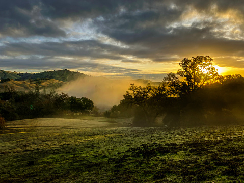 Sunrise at Magnolia Ranch Park, California Gold Country.