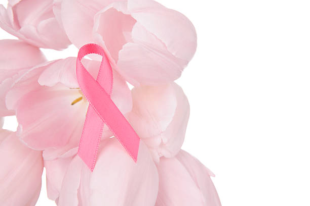 Breast Cancer Awareness ribbon on light pink tulips with a white background and copy space for your special text.PLEASE CLICK ON THE IMAGE BELOW TO SEE MY BREAST CANCER LIGHTBOX: