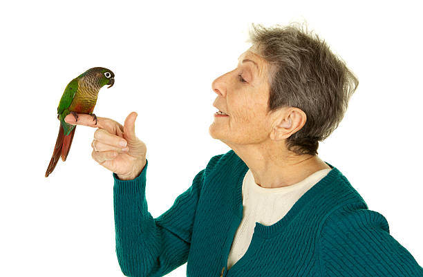istock Senior Woman with Her Pet Bird on White Background 183852368