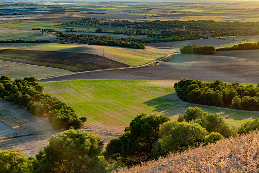 Castilla y León, Spain. The image evokes a sense of serenity, connection with nature, and contemplation. The fields of crops and pine forests bathed in the golden light of sunset suggest tranquility and natural beauty.