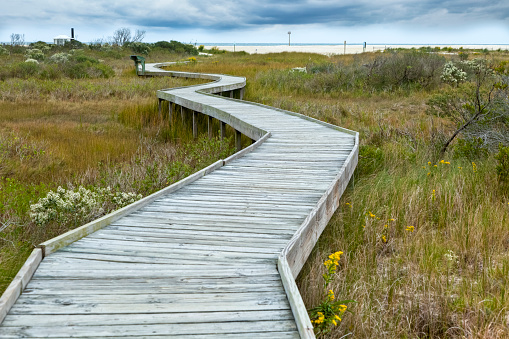 A wooden wildlife viewing boardwalk zig-zags across the dune grasses and flowers at Chincoteague National Wildlife Refuge in Virginia. The white sands of the shore are just visible under the gray clouds looming overhead.