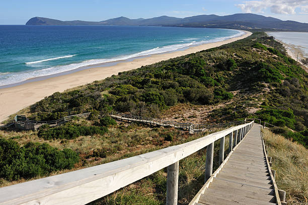 istock Bruny Island in Tasmania, 183853138