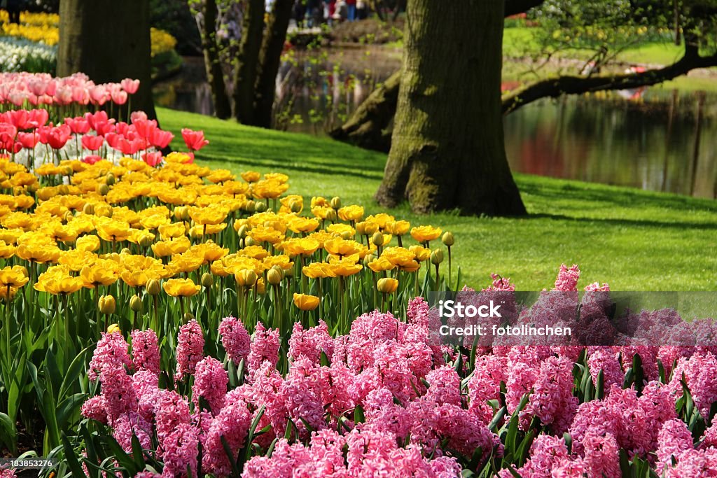 Garten im Frühling - Lizenzfrei Baum Stock-Foto