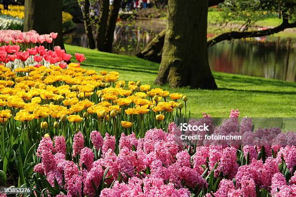 Garten Im Frühling Stockfoto und mehr Bilder von Baum - Baum, Blume, Blumenbeet