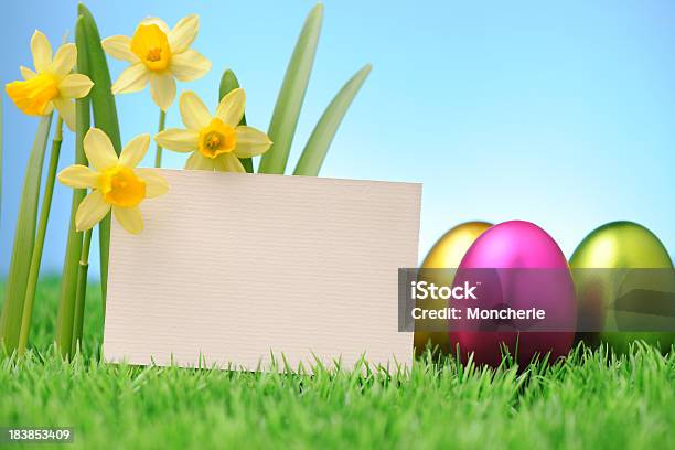 Narcissus De Resorte Foto de stock y más banco de imágenes de Abril - Abril, Aire libre, Amarillo - Color