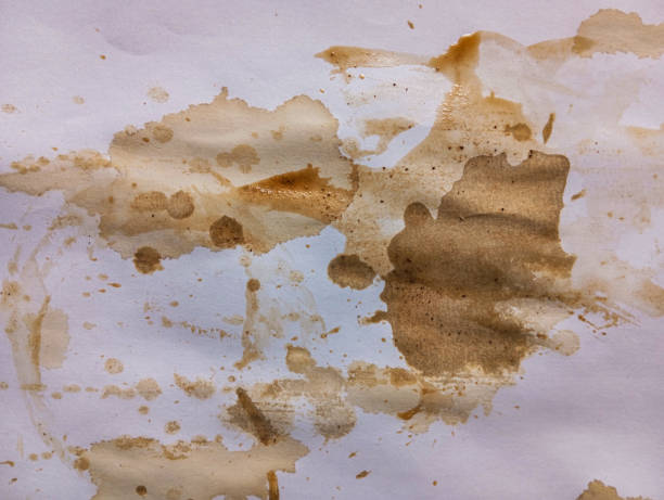istock Abstract coffee grunge background. Brown coffee stains on white paper with copy space. Dirty paper with coffee drops. Coffee splash texture. Modern brown illustration. 1838537837