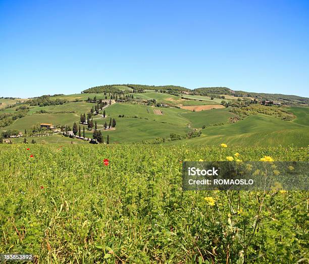 Tortuosa Strada Cypress Foderato In Monticchiello Val Dorcia Toscana Italia - Fotografie stock e altre immagini di Campo