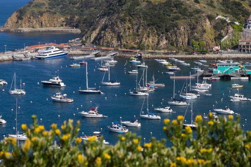 A beautiful view of Avalon Harbor on Catalina Island.