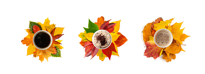 Autumn Coffee Cup Isolated, Coffee Mug on Yellow Autumn Tree Leaves, Hot Drink in Golden Foliage, Autumn Tea on White Background Top View