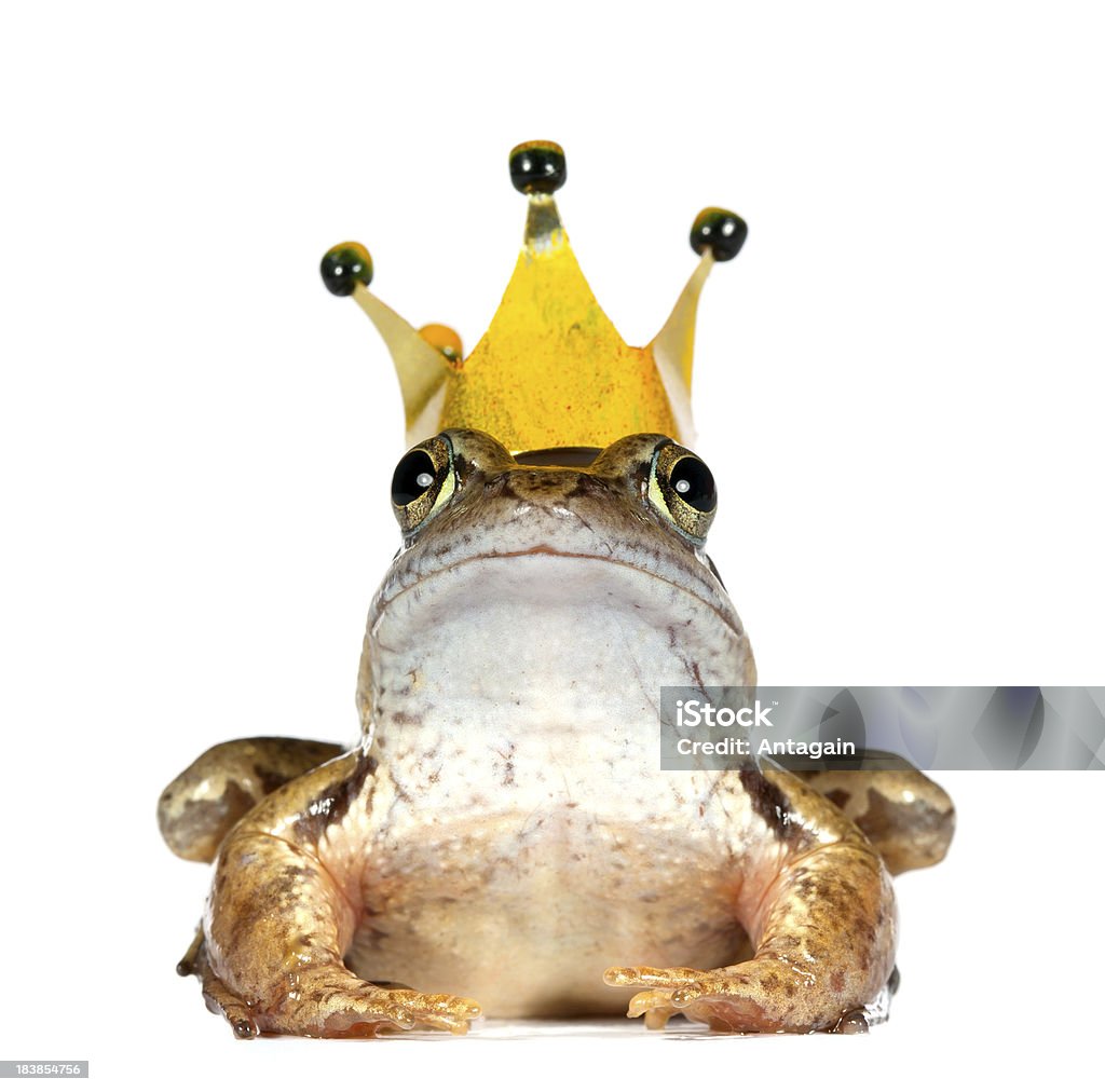 개구리, 왕관 - 로열티 프리 개구리 왕자 스톡 사진