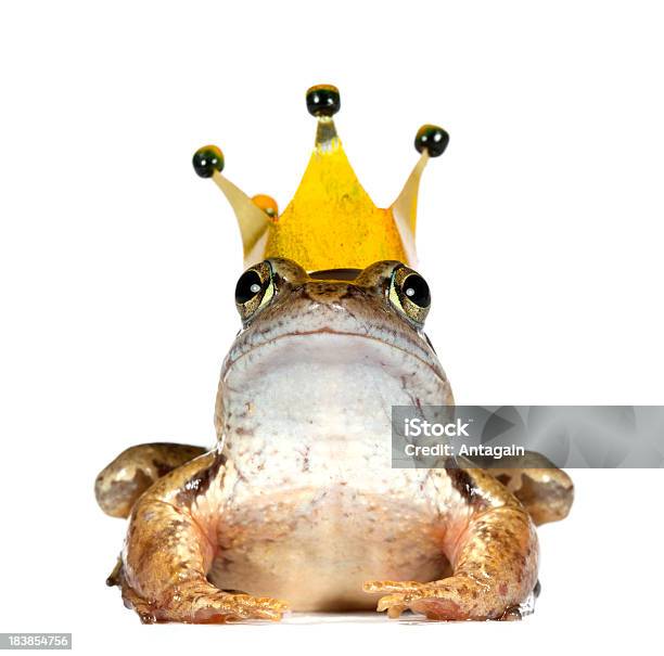 개구리 왕관 개구리 왕자에 대한 스톡 사진 및 기타 이미지 - 개구리 왕자, 왕관, 국왕