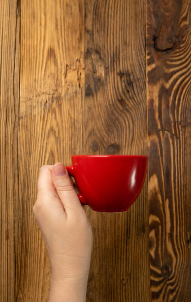 istock Hand Holds Cup, Empty Red Cup in Hands, Coffee Mug, Teacup, Hot Beverage Mockup 1838553304
