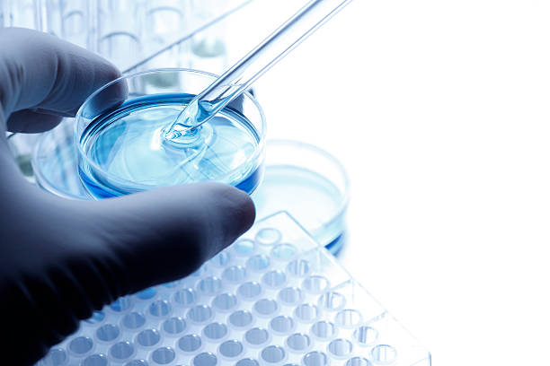 istock Scientist taking a sample out of a petri dish using a pipette 183855418