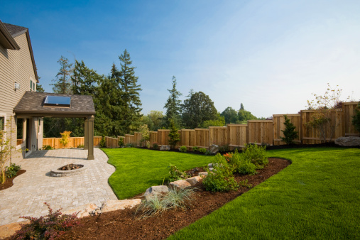 Sunny back yard of suburban home.