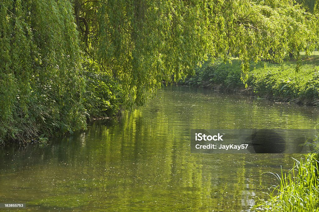 연두빛 강 - 로열티 프리 전원 장면 스톡 사진