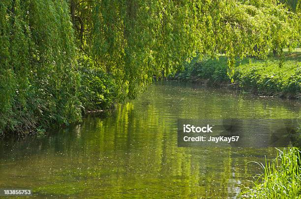 Река Spring — стоковые фотографии и другие картинки Кент - Англия - Кент - Англия, Кентербери - Англия, Сельский пейзаж