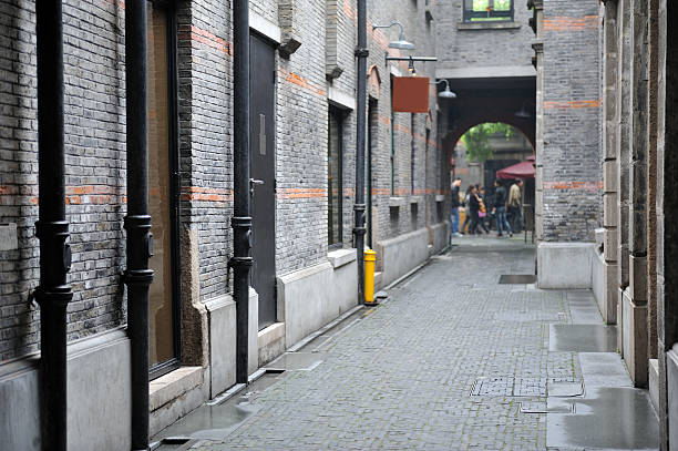 istock Alley in Shanghai 183855944