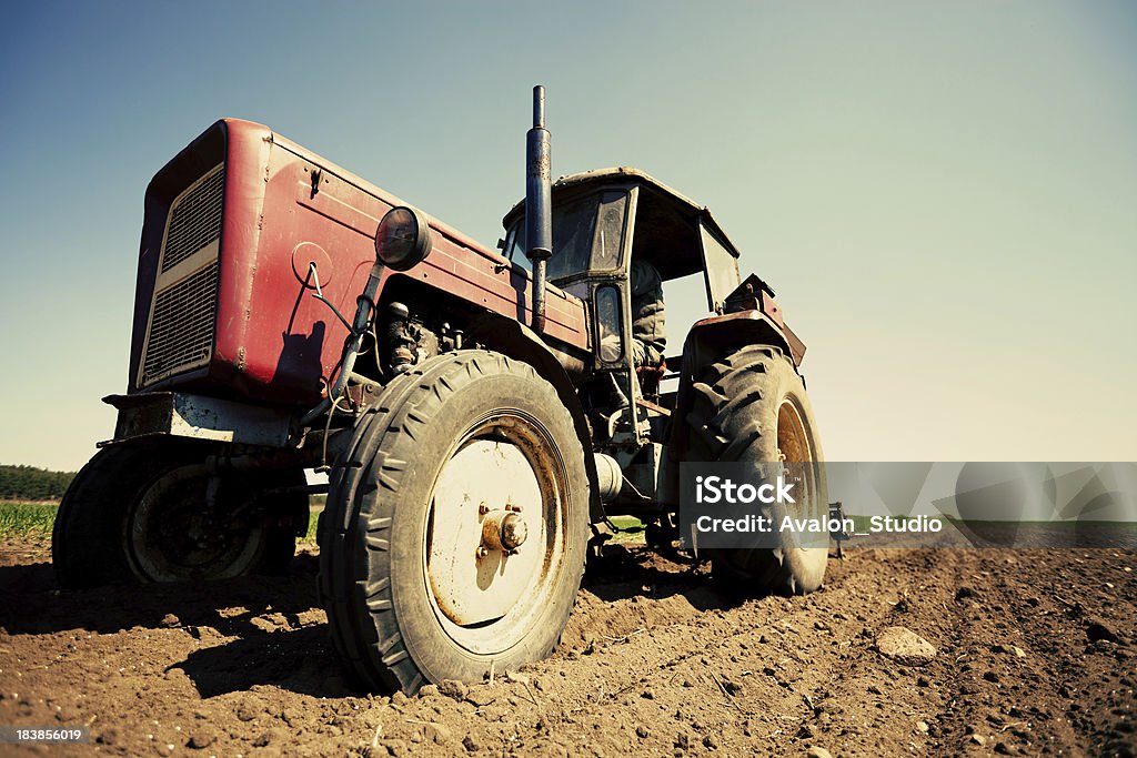 Trattore lavorando sul campo - Foto stock royalty-free di Agricoltore