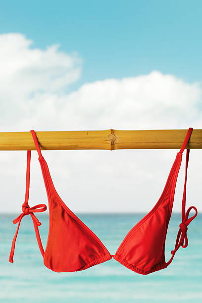 istock Red Bikini on Bamboo Pole Drying in Tropical Beach Vacation 183856141