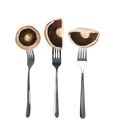 Portobello mushroom, portabella or portobella isolated on forks on white background. Big brown sliced champignons