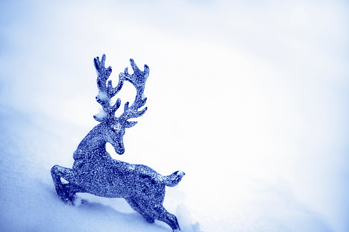 Reindeer with big blue fluffy nose. Winter Holidays concept with white copy space 3d render 3d illustration