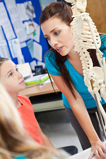 istock Teacher Using Skeleton to Teach Students About The Human Body 183857149