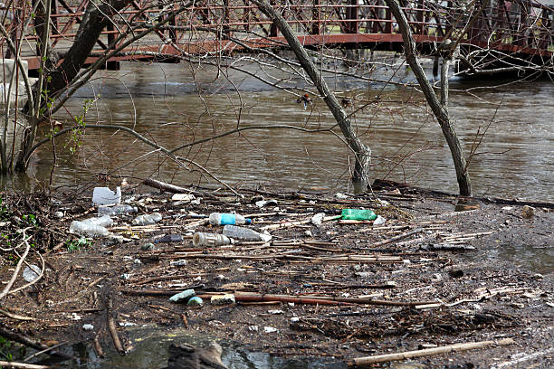 Flooded River Trash stock photo